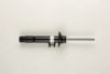 BMW 31316791575 Shock Absorber